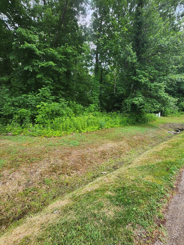 11137 Abbey Ln, New Buffalo, MI 49117 - photo 1