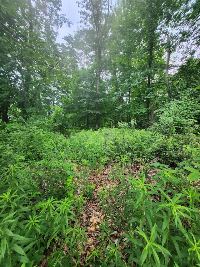 11137 Abbey Ln, New Buffalo, MI 49117 - photo 3