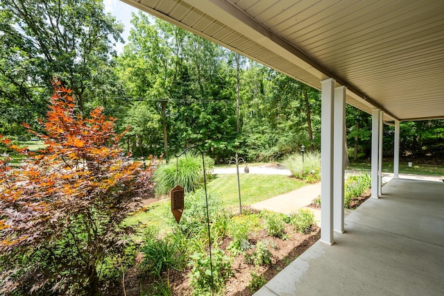 2975 Portage Rd, Niles, MI 49120 - photo 5