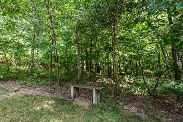 2975 Portage Rd, Niles, MI 49120 - photo 37