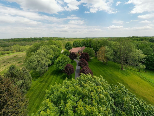 10185 N 650 E, New Carlisle, IN 46552 - photo 4
