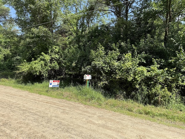 11811 Galway Dr, Jerome, MI 49249 - photo 10