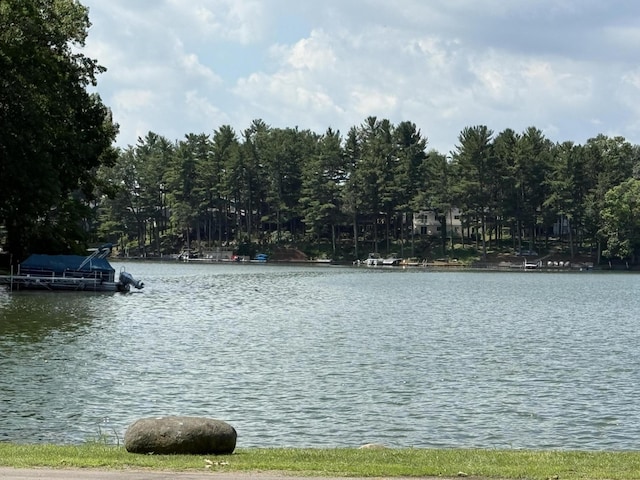 11811 Galway Dr, Jerome, MI 49249 - photo 1