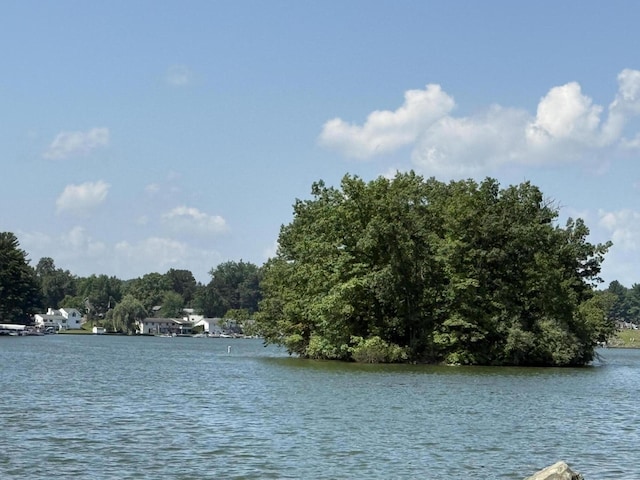 11811 Galway Dr, Jerome, MI 49249 - photo 4
