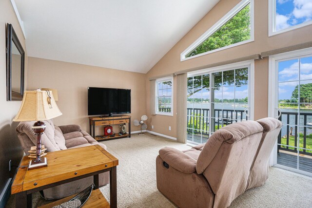 265 Lakeshore Dr, Battle Creek, MI 49015 - photo 34