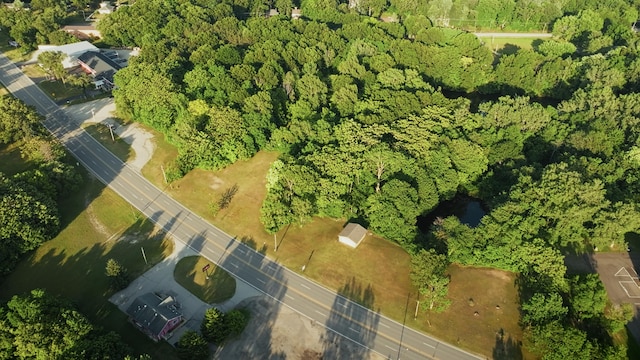 Red Arrow Hwy, Parcel B, Stevensville, MI 49127 - photo 4