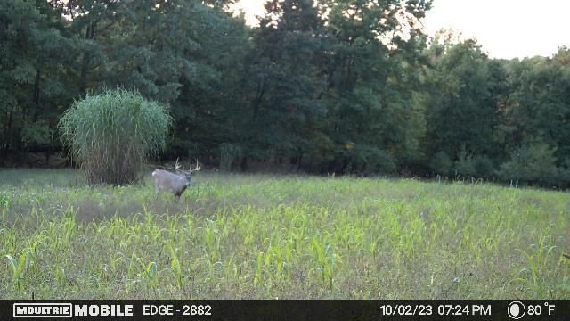 3745 Jackson Rd, Blanchard, MI 49310 - photo 3