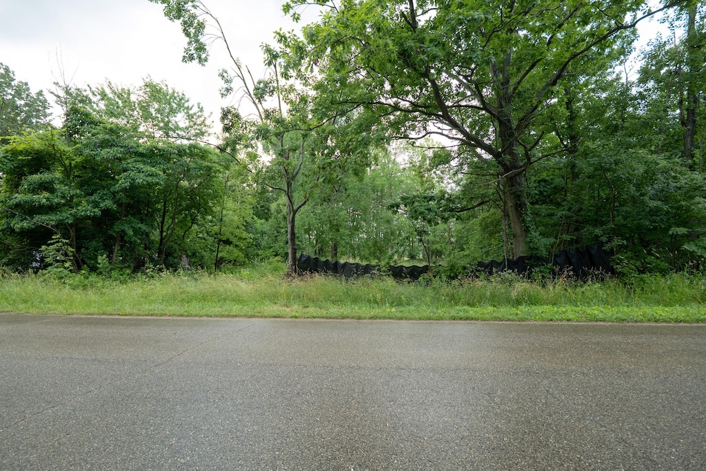 Finch Rd, Marcellus, MI 49067 - photo 1