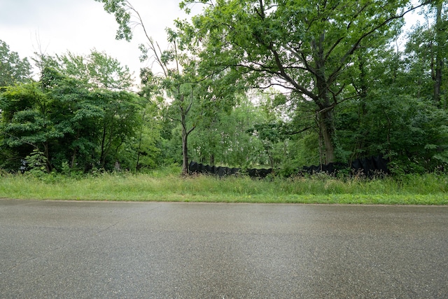 Finch Rd, Marcellus, MI 49067 - photo 1