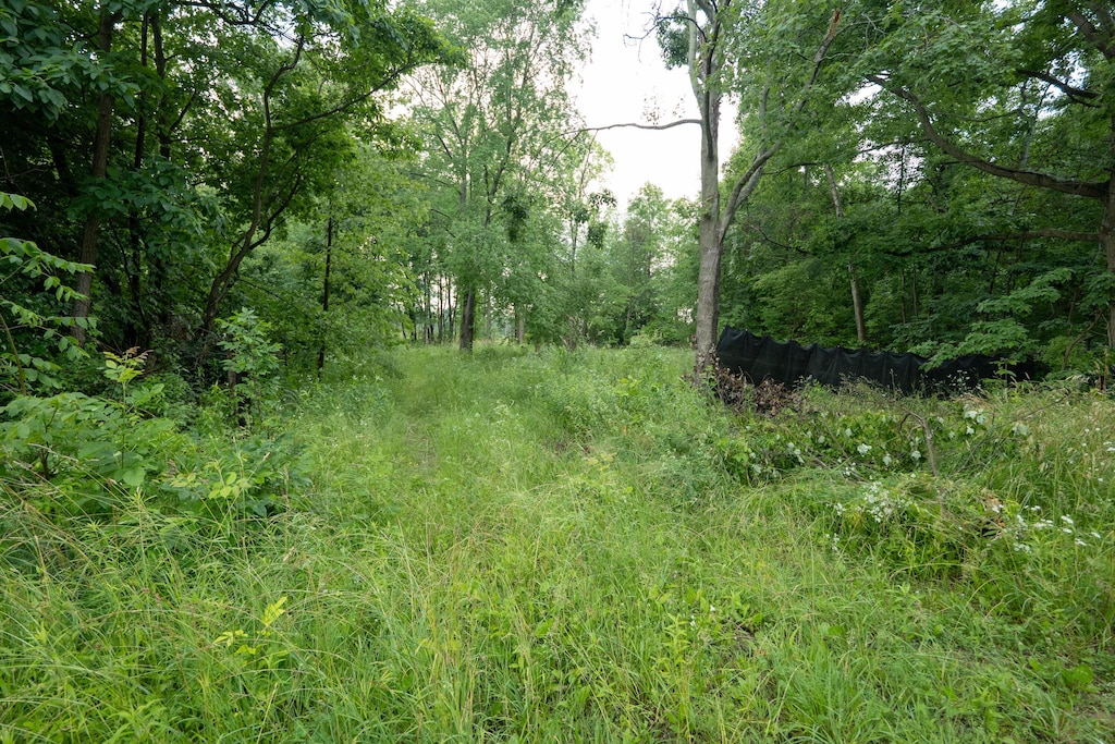 Finch Rd, Marcellus, MI 49067 - photo 2