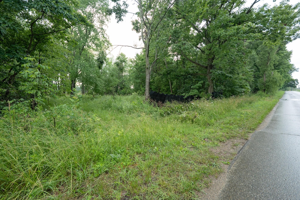 Finch Rd, Marcellus, MI 49067 - photo 3