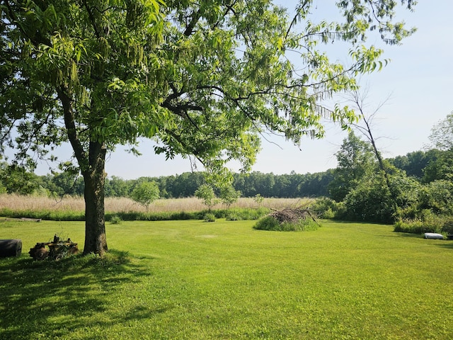 9159-D Moreland Rd, Jerome, MI 49249 - photo 11