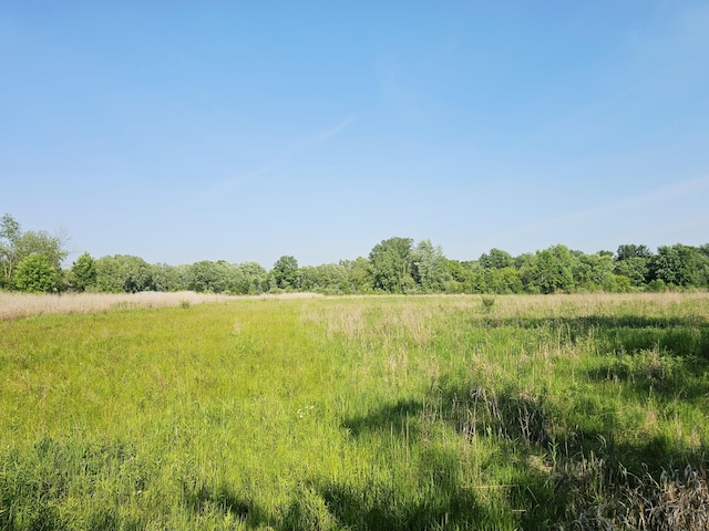 9159-D Moreland Rd, Jerome, MI 49249 - photo 12
