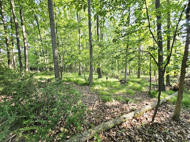 9159-D Moreland Rd, Jerome, MI 49249 - photo 15