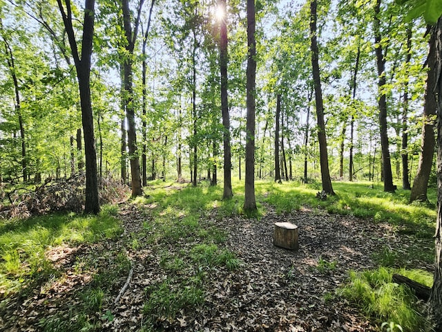 9159-D Moreland Rd, Jerome, MI 49249 - photo 17