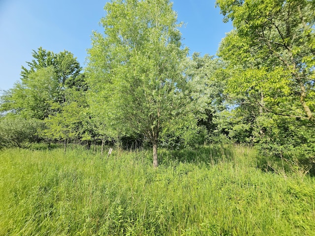 9159-D Moreland Rd, Jerome, MI 49249 - photo 22