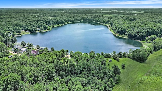 716 30th St, Allegan, MI 49010