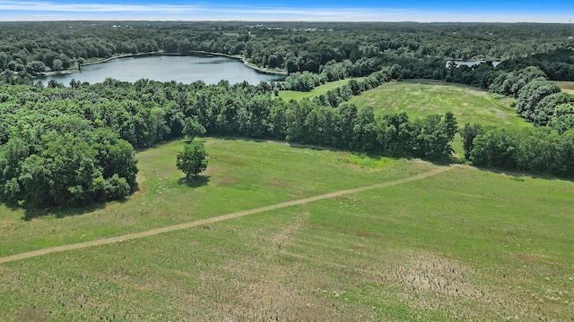 716 30th St, Allegan, MI 49010
