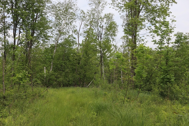 V/L N Sturgeon Rd, Midland, MI 48642