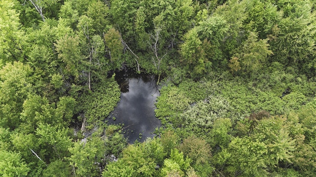 V/L N Sturgeon Rd, Midland, MI 48642