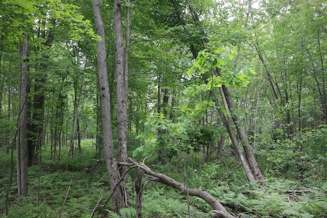 V/L N Sturgeon Rd, Midland, MI 48642
