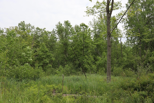 V/L N Sturgeon Rd, Midland, MI 48642