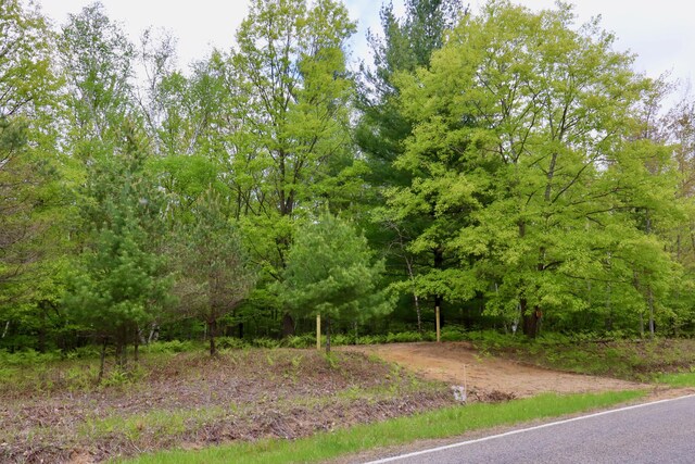 V/L E Levely Rd, Rhodes, MI 48652 - photo 1