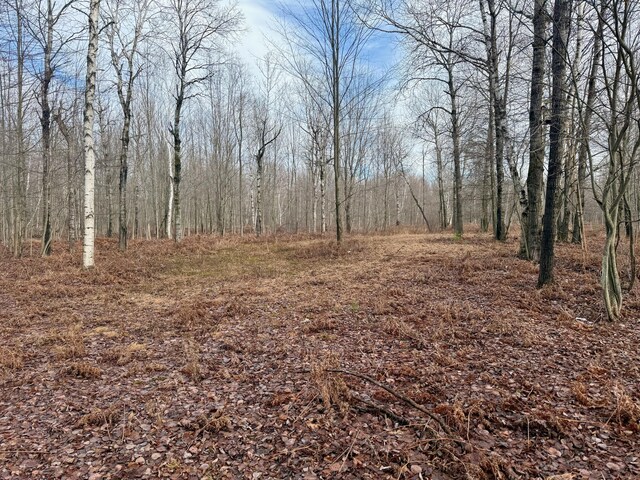 V/L E Levely Rd, Rhodes, MI 48652 - photo 14