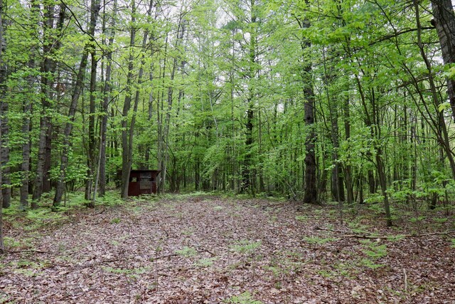 V/L E Levely Rd, Rhodes, MI 48652 - photo 5