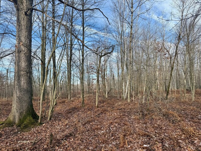 V/L E Levely Rd, Rhodes, MI 48652 - photo 15