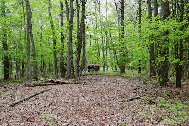 V/L E Levely Rd, Rhodes, MI 48652 - photo 6