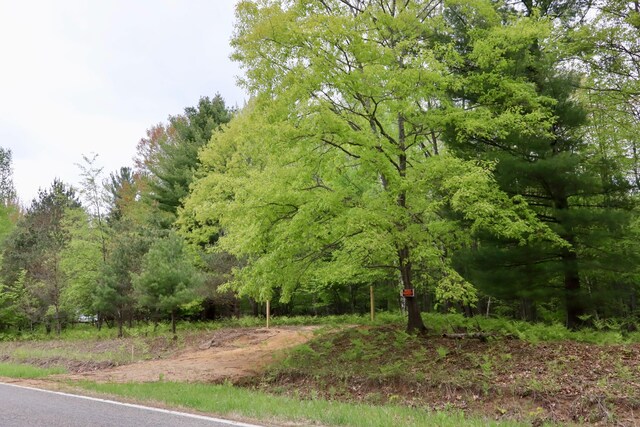 V/L E Levely Rd, Rhodes, MI 48652 - photo 11