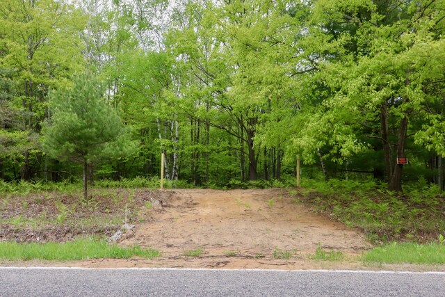 V/L E Levely Rd, Rhodes, MI 48652 - photo 12