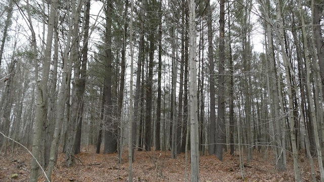 V/L E Levely Rd, Rhodes, MI 48652 - photo 17