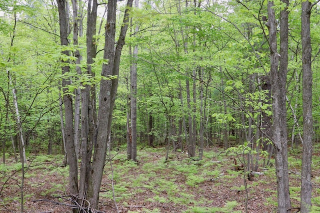 V/L E Levely Rd, Rhodes, MI 48652 - photo 2