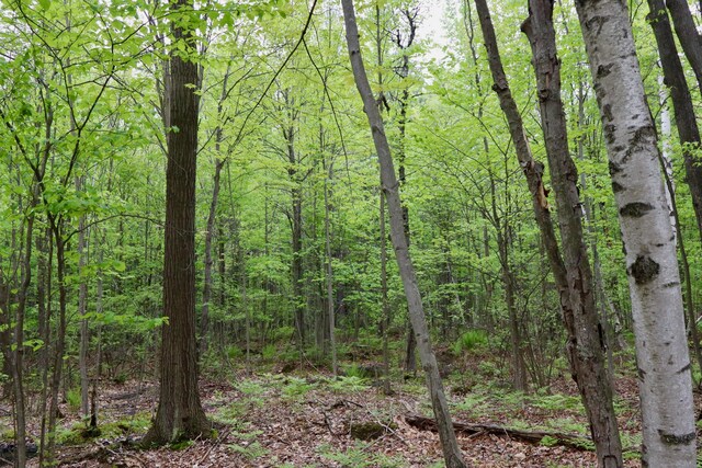 V/L E Levely Rd, Rhodes, MI 48652 - photo 3