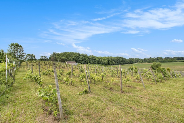 56278 County Road 365, Lawrence, MI 49064 - photo 11