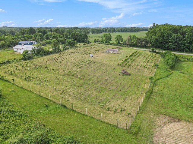 56278 County Road 365, Lawrence, MI 49064 - photo 18