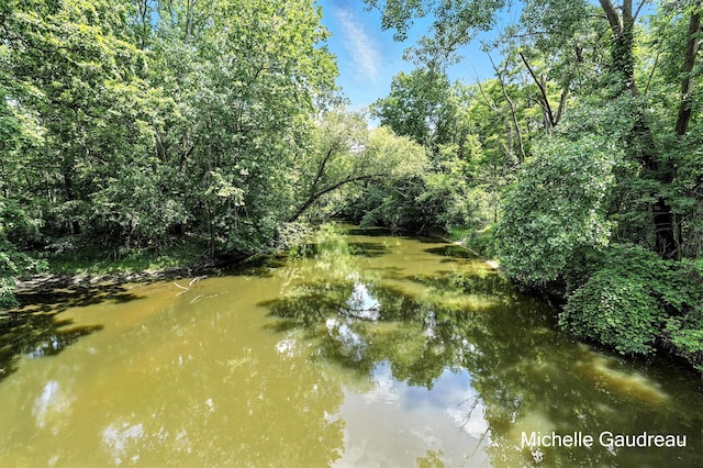 PARCELB W Irving Rd, Middleville, MI 49333 - photo 2