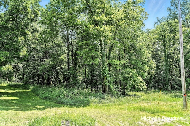 PARCELB W Irving Rd, Middleville, MI 49333 - photo 3