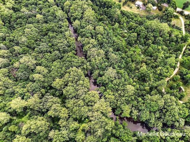 PARCELB W Irving Rd, Middleville, MI 49333 - photo 8