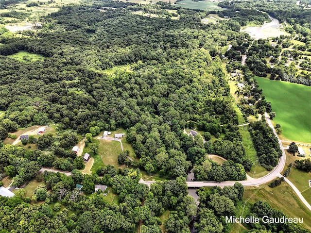 PARCELB W Irving Rd, Middleville, MI 49333 - photo 10