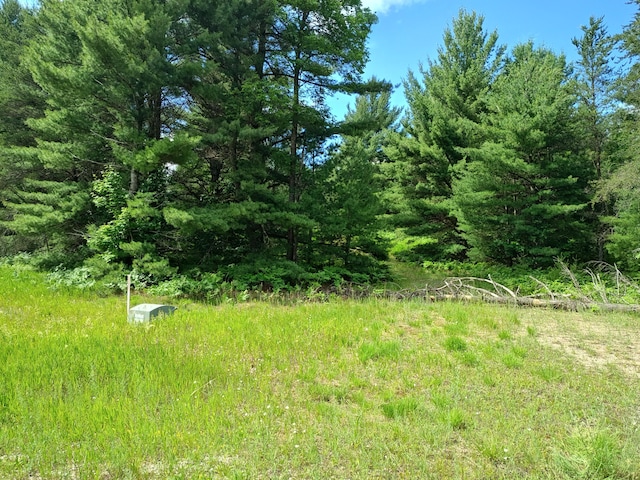 LOT1 Red Hawk, Fife Lake, MI 49633