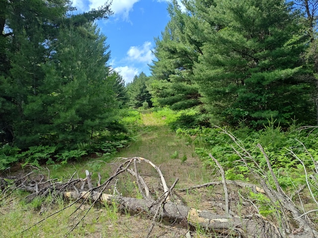 LOT1 Red Hawk, Fife Lake, MI 49633