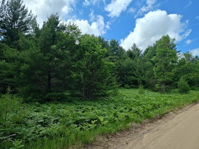 LOT1 Red Hawk, Fife Lake, MI 49633