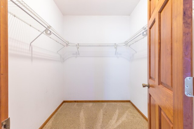 56234 Sink Rd, Dowagiac, MI 49047 - photo 11