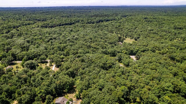 0 W Fruitvale Rd, Montague, MI 49437 - photo 9