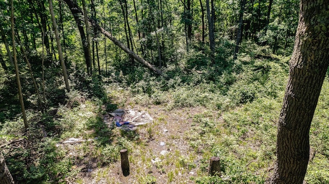 0 W Fruitvale Rd, Montague, MI 49437 - photo 14