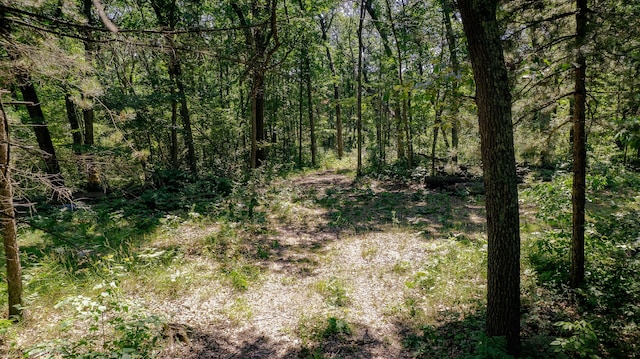 0 W Fruitvale Rd, Montague, MI 49437 - photo 15
