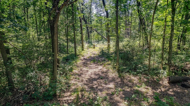 0 W Fruitvale Rd, Montague, MI 49437 - photo 16
